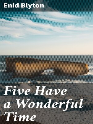 cover image of Five Have a Wonderful Time